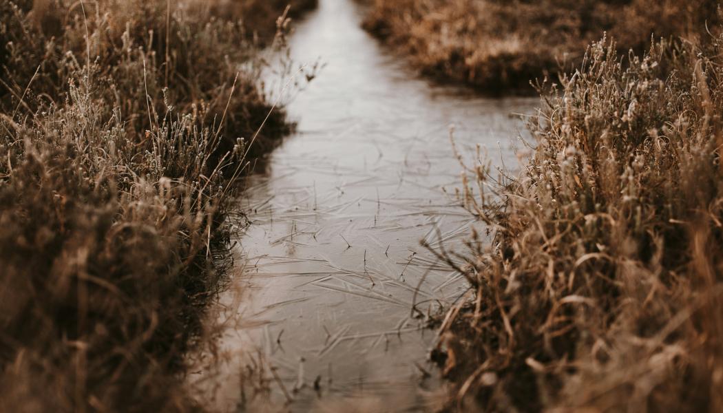Enligt markägaren fanns möjlighet att dra ledningen längs en bäck som alternativ sträckning. Foto: Annie Spratt/Unsplash