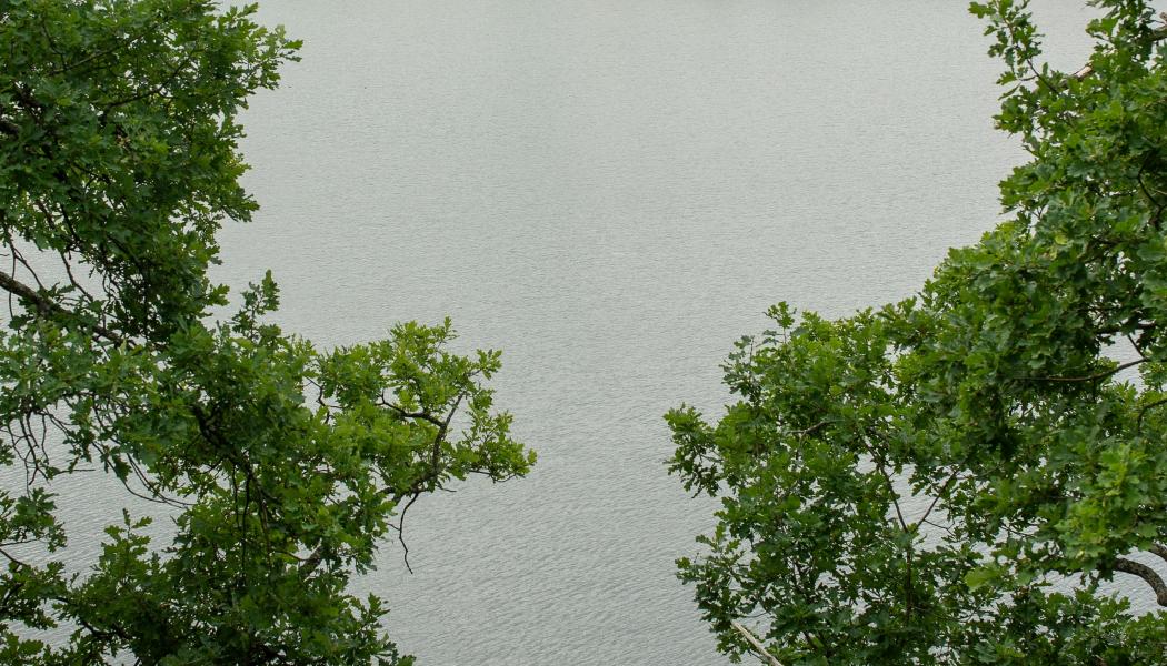 Mälaren. Foto: Margo Evardson/Unsplash