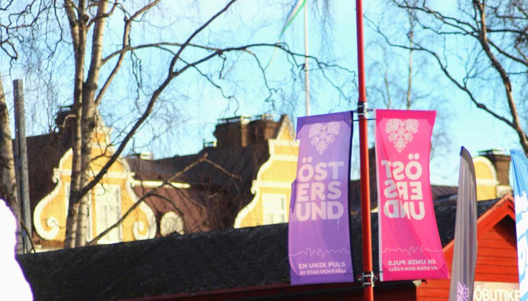 Utifrån granskningsrapporten beslutar Östersunds politiker att beställa en extern utredning ska genomföras för att se över kostnaderna. Foto: I Traore/Unsplash