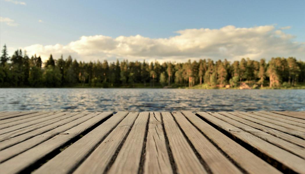 Rådmansö är en halvö och ett område i Norrtälje kommun. Foto: Jonathan Petersson/Pexels
