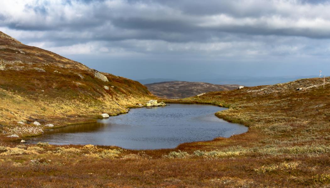 Åre. Foto: Håkon Grimstad/Unsplash