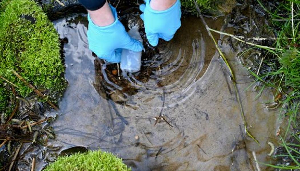 Här provtas grundvatten vid en av de stationer inom miljöövervakningssystemet som har ingått i SGU:s undersökning. Foto: Joel Häggqvist, SGU Foto: sgu
