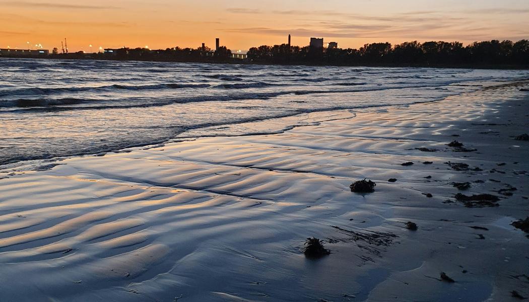 Östra stranden, Halmstad. Foto: Markus Luther/Unsplash
