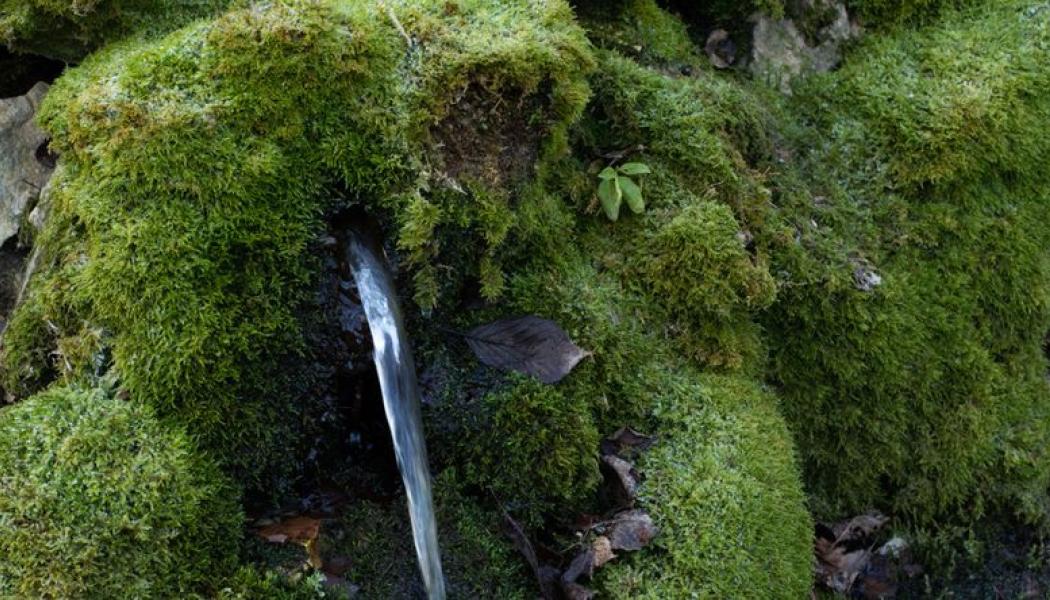 Det vattenlösliga PFAS-ämnet TFA har påträffats i grundvatten i stora delar av Europa. Foto: Kemikalieinspektionen