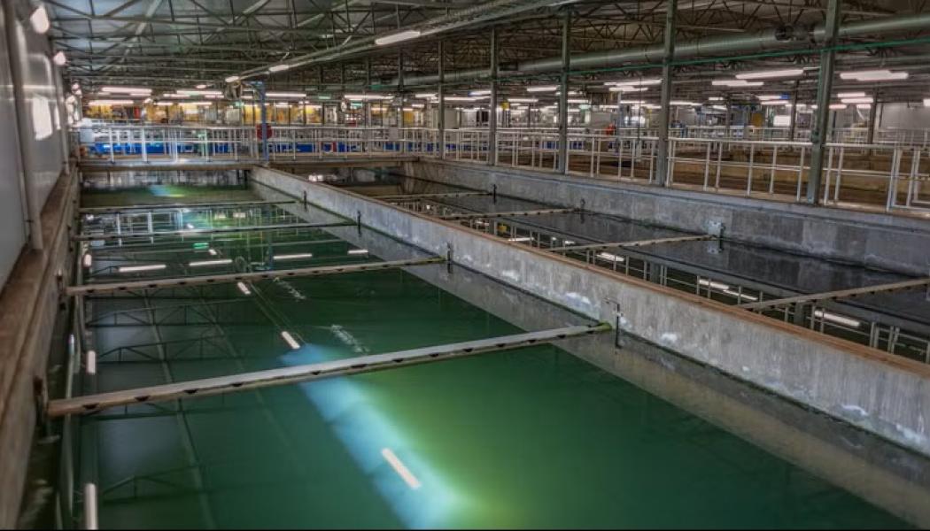 Reningsverkets bassäng. Foto: Karlskoga Energi & Miljö