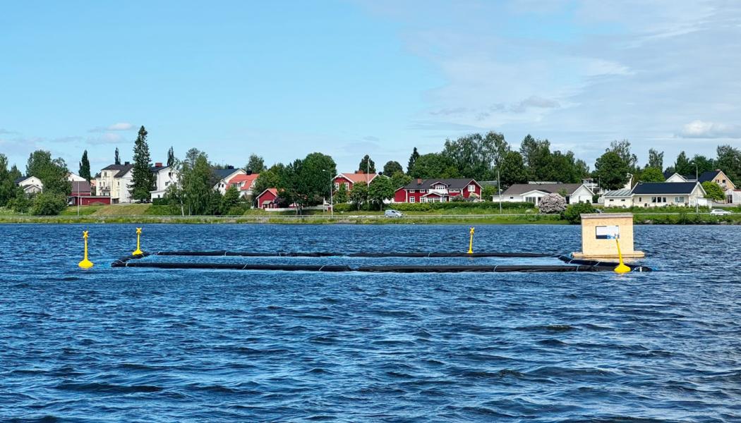 Svartbyträsket i Boden Foto: Luleå tekniska universitet