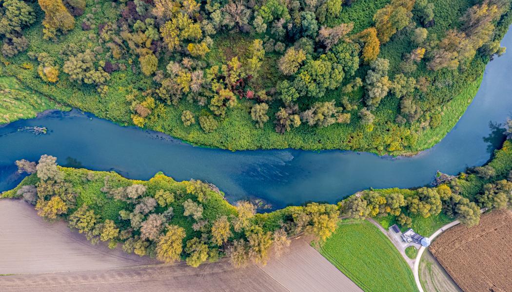Floden Oder, Polen. Fri användning. Foto: AdobeStock, Franciszek