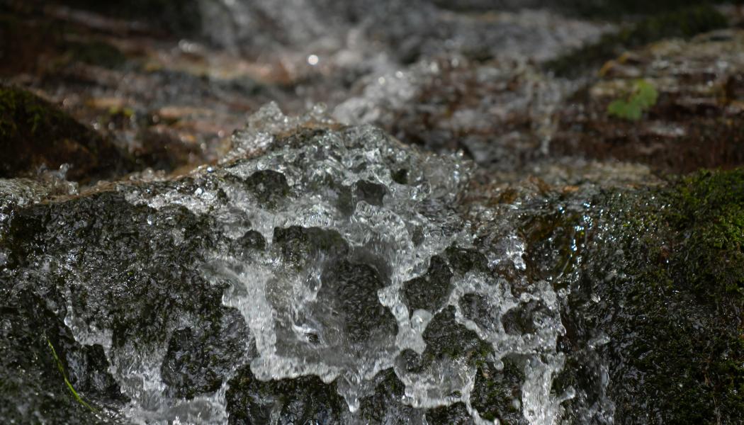 Testeboåns avrinningsområde ligger i Gävleborgs län, huvudsakligen inom Gävle kommun, men sträcker sig även in i delar av Ockelbo och Sandvikens kommuner. Foto: Sergio Zhukov/Unsplash