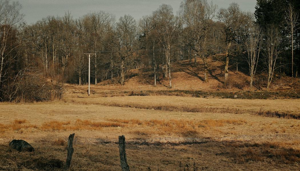 Torka kan även slå hårt mot odling och uppfödning av djur och minska tillgången till råvaror i nästa steg av livsmedelsproduktionen. Bild visar Dalsjöfors. Foto: Magnus Jonasson/Unsplash