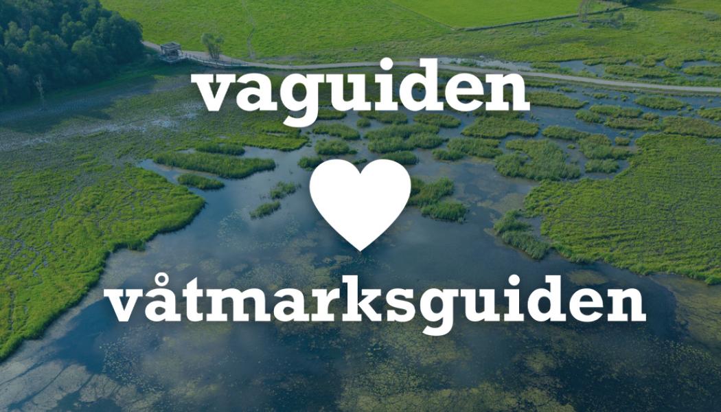 Idén till Våtmarksguiden kom från WRS och Sören Eriksson vid Hushållningssällskapet. Med webbtekniskt stöd från Bild & Kultur lanserades webbplatsen våtmarksguiden.se under 2013. Våtmarksguiden har sedan dess byggts upp genom flera projekt, med stöd från staten och EU-finansiering i olika omgångar. Bild: VA-guiden
