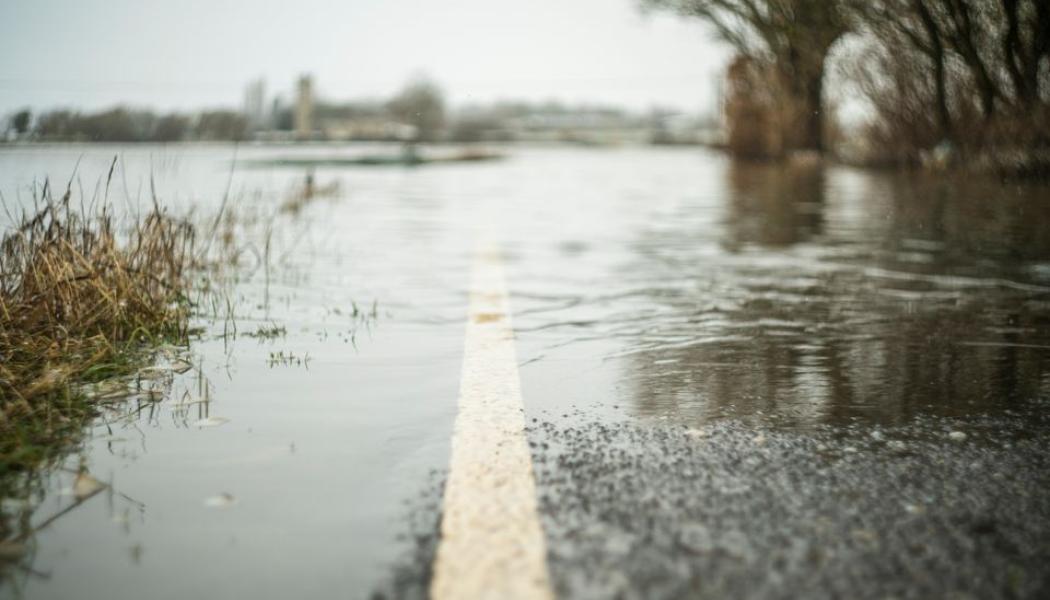 Under 2024 anmäldes över 19 500 skadeärenden kopplade till oväder i Sverige, enligt Svensk Försäkring. Stormar, översvämningar och skred har påverkat både bostäder och infrastruktur. Foto: IF