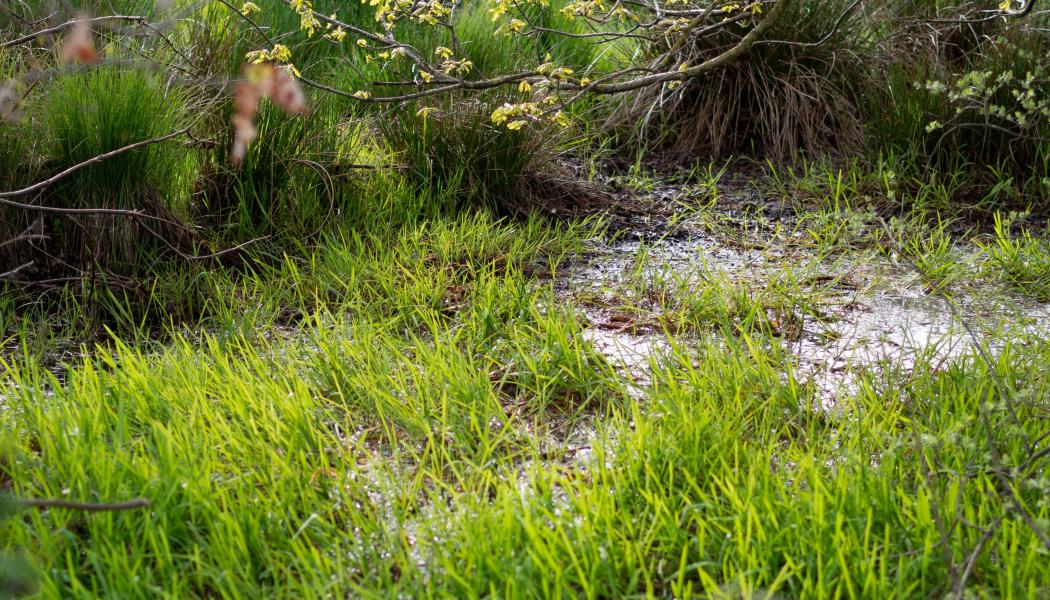 Genrebild. Foto: Christian Krebel