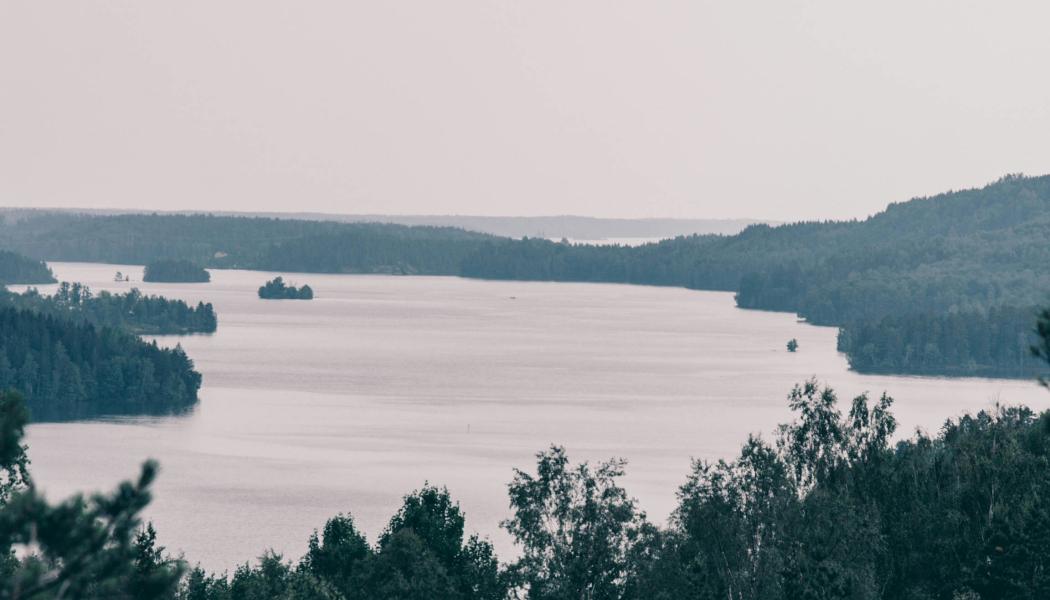 Vy över sjö. Foto: Aron Fjell/Unsplash