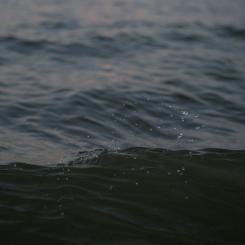 126 kubikmeter orenat avloppsvatten beräknas ha runnit ut i marken. Foto: Mateusz Żochowski/Unsplash