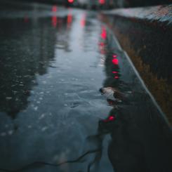 Årets dagvattnets dag fokuserar på det regn- och smältvatten som rinner på gator och kan föra med sig föroreningar och orsaka översvämningar. Foto: Arw Zero/Unsplash