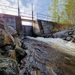Damm vid Torringen, den första av de två dammarna i Stångån som ska tas bort under sommaren. Foto: Joel Norlin / Sportfiskarna