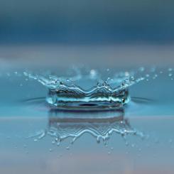 Decentraliserad gråvattenrening i fokus. Foto: Rånäs Bruk