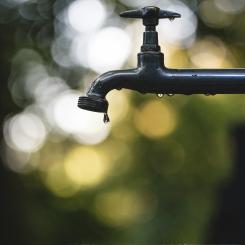 Hässleholm nära bevattningsförbud. Foto. Luis Tosta/Unsplash