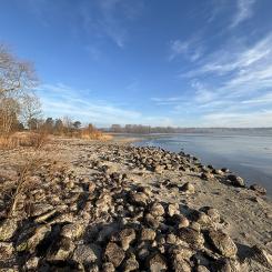 Vombsjön. Foto: Sydvatten