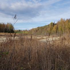 Det ska letas föroreningar vid och kring det gamla pappersbruket i Fengersfors, Åmåls kommun. Foto: Länsstyrelsen Västra Götaland
