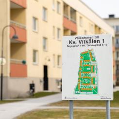Kvarteret Vitkålen. Foto: Gotlandshem