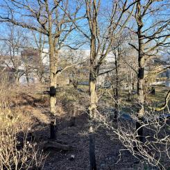 Bygget av den nya gula linjen – tunnelbanesträckan mellan Älvsjö och Fridhemsplan – prövas nu miljömässigt. En av stationerna planeras att byggas i anslutning till Stockholmsmässan. Foto: Stina Wickenberg