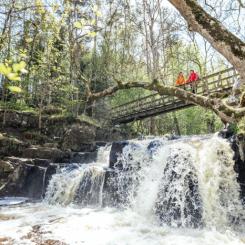I Simrishamns kommun fördubblas befolkningen varje sommar. Över två miljoner besökare ökar trycket på vattenresurserna just när grundvattennivåerna är som lägst. Effekterna märks genom att begränsningar i vattenanvändning påverkar alla. Foto: Apelöga