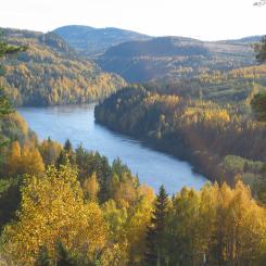 Indalsälven vid Utsikten i Sillre, i Sundsvalls kommun. Det nya vattenrådet omfattar älvens avrinningsområde från fjällområdena i Åre kommun och delar av Norge till kusten vid Timrå och Sundsvall. Foto: Reedhawk/Wikimedia Commons/https://commons.wikimedia.org/wiki/File:Indals%C3%A4lven.jpg