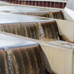 Genrebild: thisisengineering/Unsplash