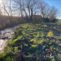 Ljura bäck är nu säkrat för översvämningar. Foto: Norrköpings kommun