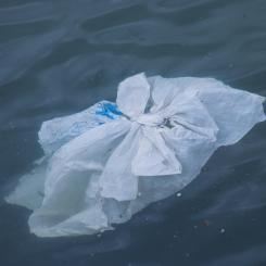 Mikroskopiska plastpartiklar ökar i miljön och har samband med inflammation i tarmarna. De minsta kan även ta sig vidare till andra organ, visar ny studie. Foto: brian yurasits/Unsplash