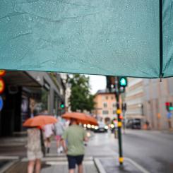 Målet är en stadsutveckling med minskade översvämningsrisker och skydd för vattenmiljöer i Stockholm. Foto: AdobeStock