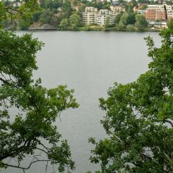 Mälaren. Foto: Margo Evardson/Unsplash
