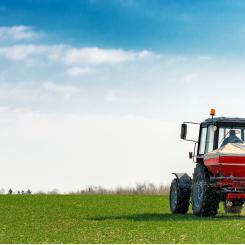 Ny teknik för att utvinna fosfor ur Östersjön kan minska Europas beroende av nödvändig gödselingrediens. Foto: Igor Stevanovic