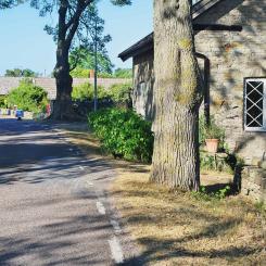 Näsby radby på södra Öland i Mörbylånga kommun. Foto: Nasko/https://commons.wikimedia.org/wiki/File:N%C3%A4sby,_%C3%96land_01.jpg?uselang=sv
