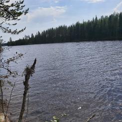 Österdalälven i Älvdalen 2022. Foto: Marcus.linneberg/Wikimedia Commons/https://commons.wikimedia.org/wiki/File:%C3%96sterdal%C3%A4lven_2022.jpg