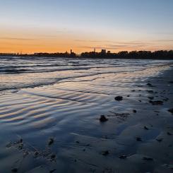 Östra stranden, Halmstad. Foto: Markus Luther/Unsplash