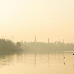 PFAS är mycket långlivade ämnen som ger upphov till miljö- och hälsoskador under mycket lång tid. Foto: Hemansu Tanty/Unsplash