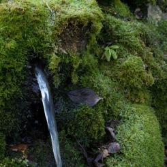 Det vattenlösliga PFAS-ämnet TFA har påträffats i grundvatten i stora delar av Europa. Foto: Kemikalieinspektionen