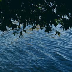 Foto: ha nguy/Unsplash