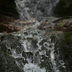Testeboåns avrinningsområde ligger i Gävleborgs län, huvudsakligen inom Gävle kommun, men sträcker sig även in i delar av Ockelbo och Sandvikens kommuner. Foto: Sergio Zhukov/Unsplash