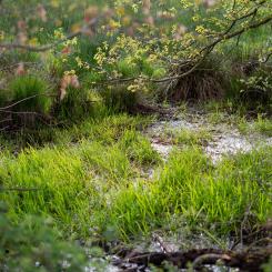 Genrebild. Foto: Christian Krebel