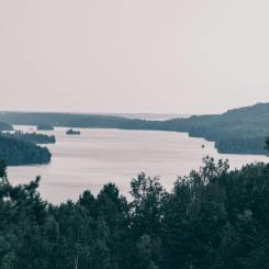 Vy över sjö. Foto: Aron Fjell/Unsplash